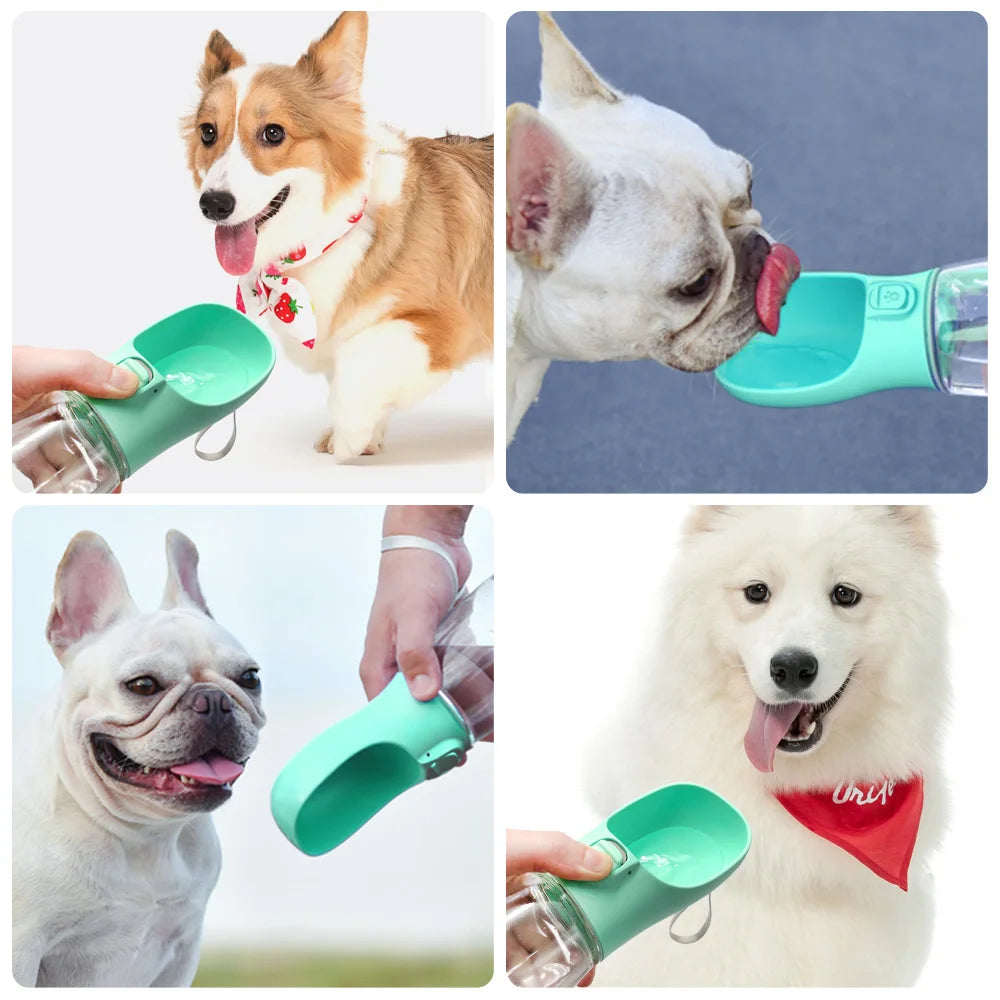 PetSplash - Tragbare Hundetrinkflasche